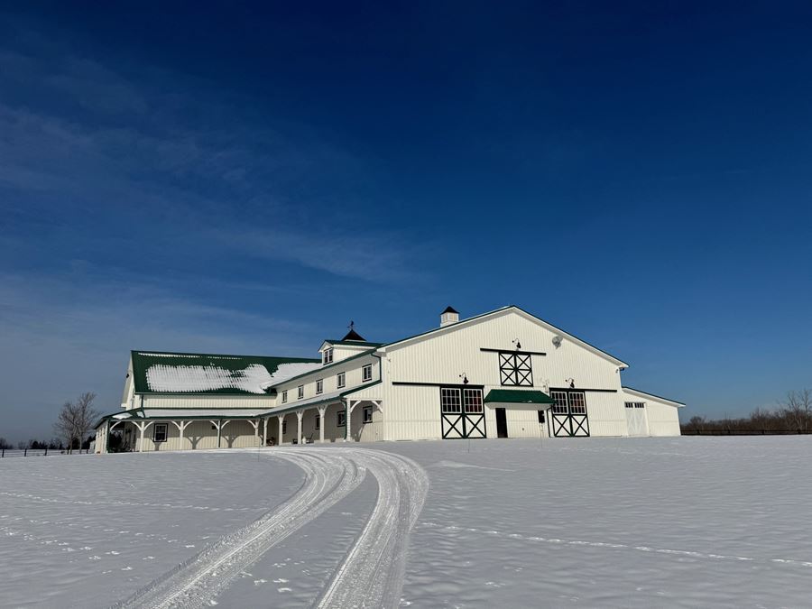 Black Iron Stables