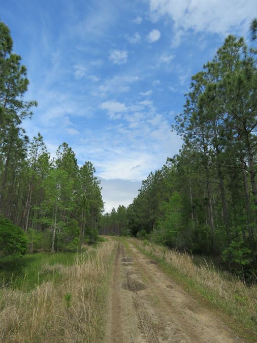 O-I Timberland Tract