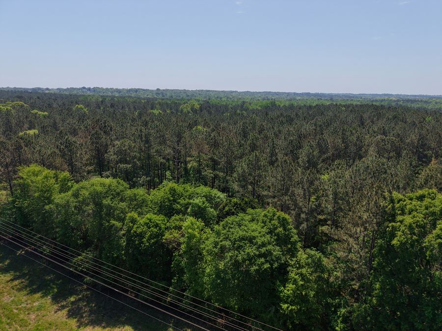 225.48 Acres - Picketts Bridge Estates