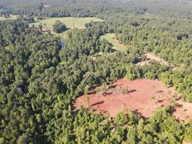 The Farm at Bear Creek - 170.78 Acres