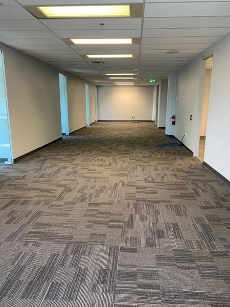 1704     Galerie de photos de l'espace 5