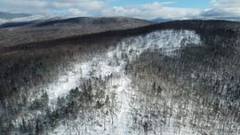 Route 3 North, Carroll, NH (lots 43 & 46)