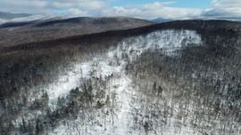 Route 3 North, Carroll, NH (lots 43 & 46)