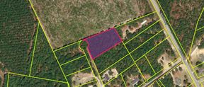 Strong Workforce Housing Site Opportunity Zone Bishopville, SC 1.26 Acres