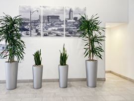 Regus - Commerce Corporate Center