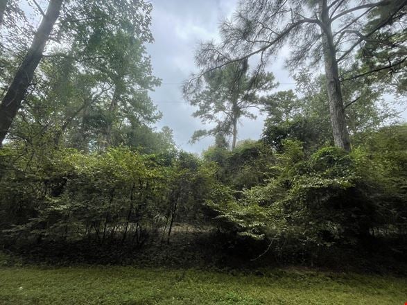 10ac Magnolia/ The Woodlands
