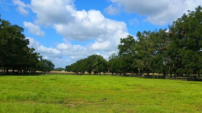 119+/- Commercial Acres