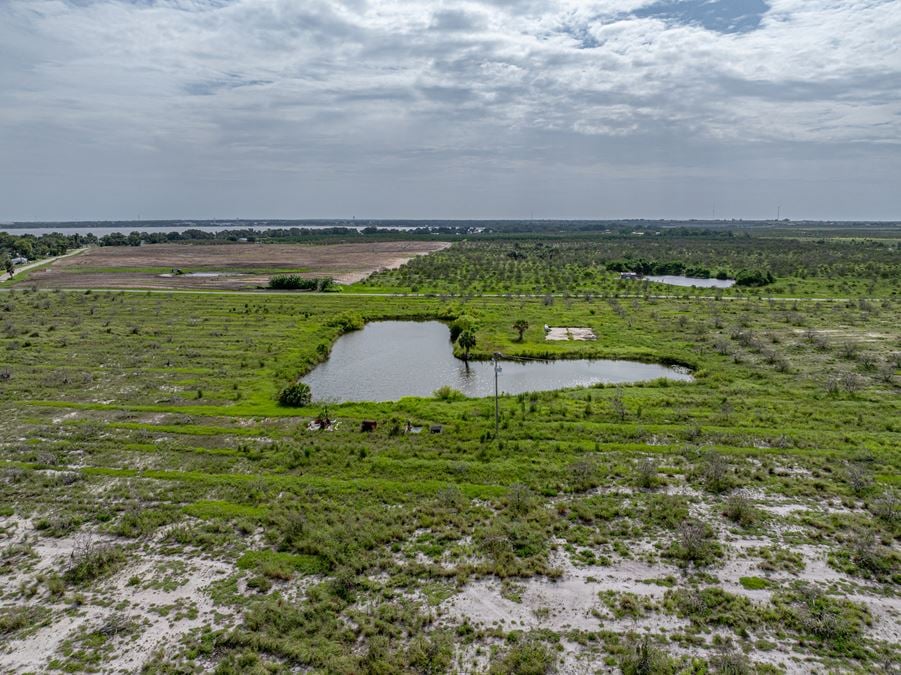 Lake Reedy Reserve