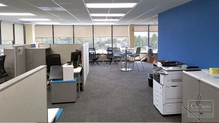 Riverside Park Place - 751 Oak Street - Jacksonville