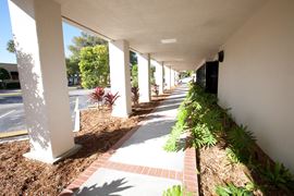 Palmetto Tower