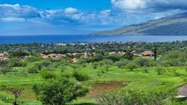 Maui Lipoa Multifamily