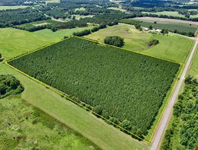 Edgefield Homesite