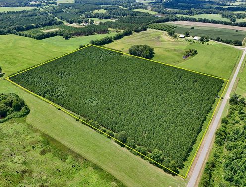 Edgefield Homesite