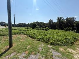41000 Alabama Hwy 69 S