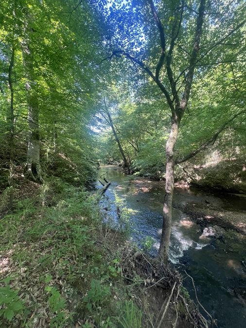 841.49 Acres - Buffalo Creek Timber Farm