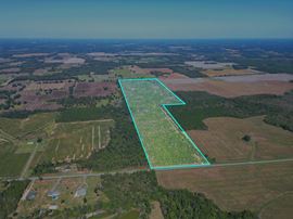 101± Acre Timber Investment with Slash Pine, Hardwoods & Hunting Near Graceville