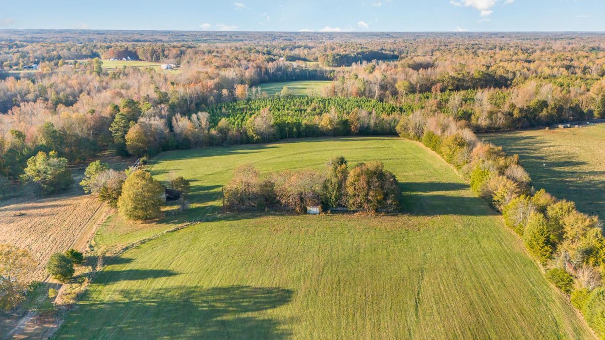 65 +/- Acres in Liberty, NC