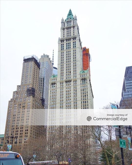 The Woolworth Building