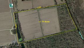 71 Acres of Property on LA Hwy 311