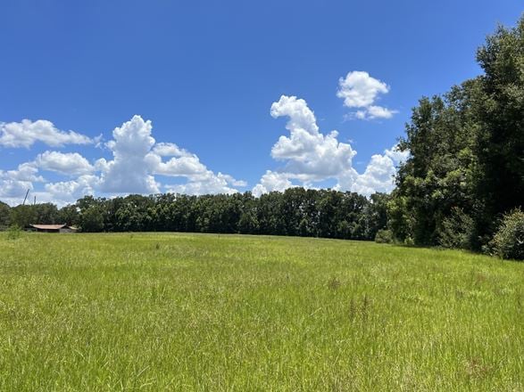 34+/- Acres for 134+ Single Family Homes
