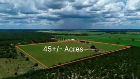 Rolling Oaks Ridge