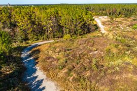 Archer 122 Acre Land Opportunity