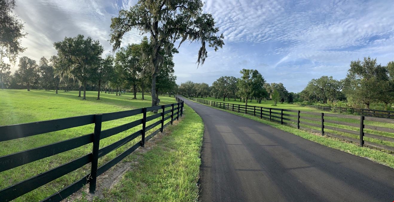 Equestrian Estate Near Ocala