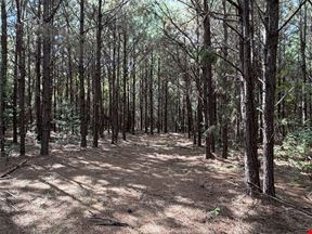 Beatrice Hunting Tract