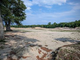 16.16 Acres of Land - Pad Ready for 40 Duplexes (80 Residences)
