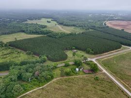 10 Shy Ranch and Timber