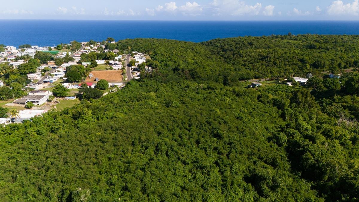 Isabela Vacant Land Parcel - For Sale