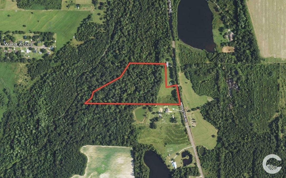 17 +/- Acre Dream Home Site in Houston County, AL