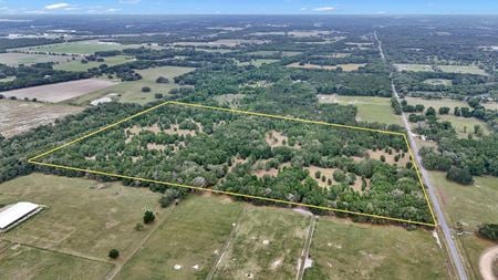 VacantLand space for Sale at 650 NE 200th Ave in Williston