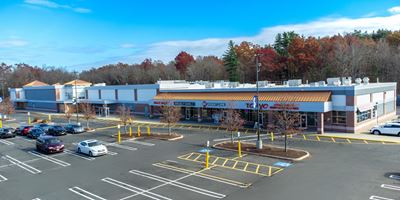Springfield Commons