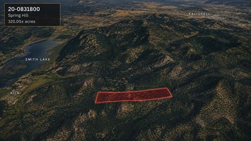 320.00± AC of Working Timberland in the Spring Hill Area