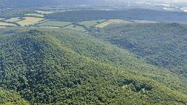 West Dempsey 339 Acres