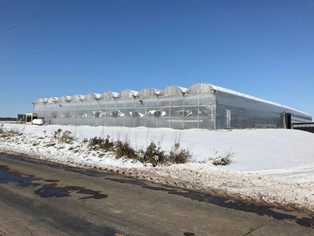 Greenhouse in Manitowoc County - Newton