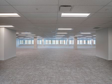 500     - Show Suite Galerie de photos de l'espace 2