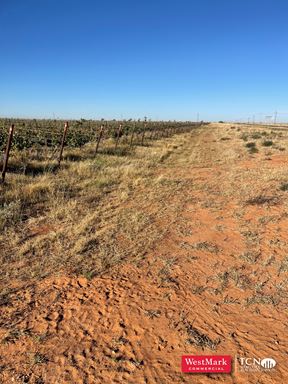 105.21 Acre Hockley Co., TX Vineyard & Development Land