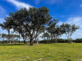 80 +/- Acres in Horse Country