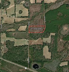 20 Acre Large Country Lot Near Campbellton – Perfect Spot for Your Dream Home or Getaway