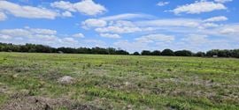 38± Acre Frostproof Grove | Residential Development or Agricultural Opportunity