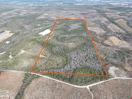 VacantLand space for Sale at Bay County 213 Acres in Panama City