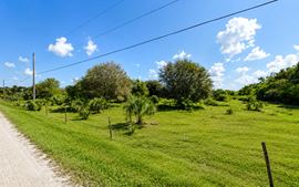 Agricultural Land with Long-Term Investment & Development Appeal