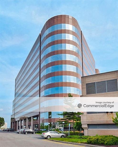 The Omni