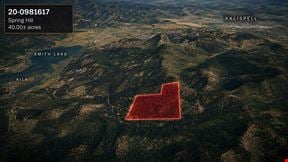 40.00± AC Spring Hill Timber & Recreation Opportunity Near Kalispell