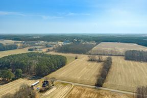 Delmar Agricultural 35.88+/- Acres