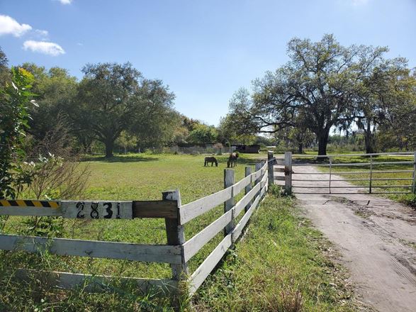 2831 Saddle Creek Road