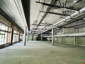 Alta Waverly 2302 Valdez St