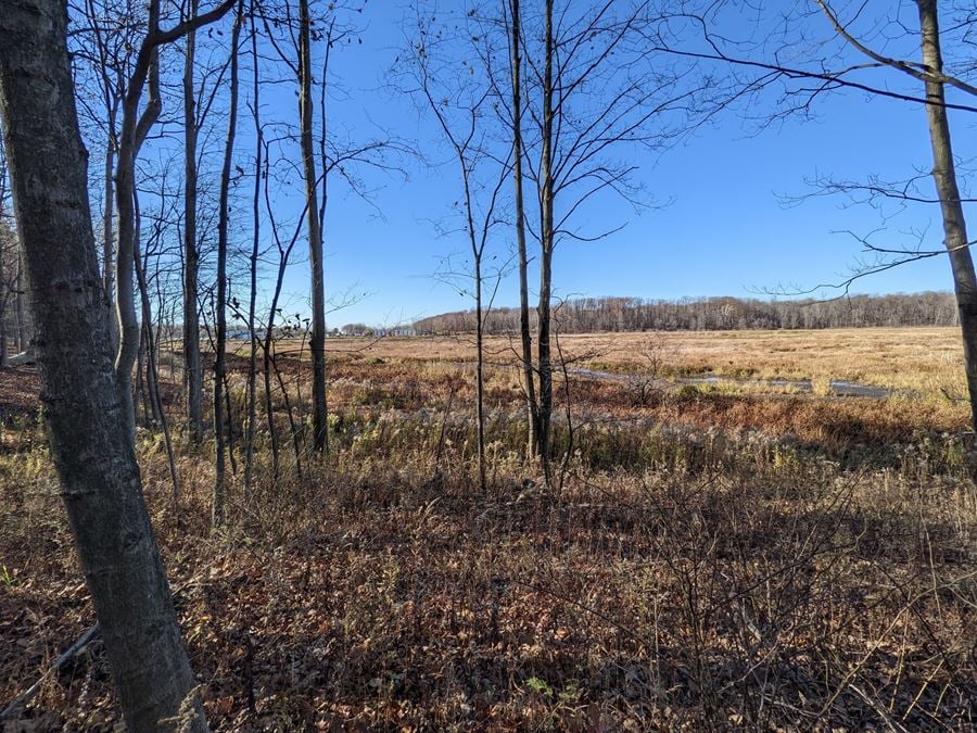 11.5 Acres of Residential Land